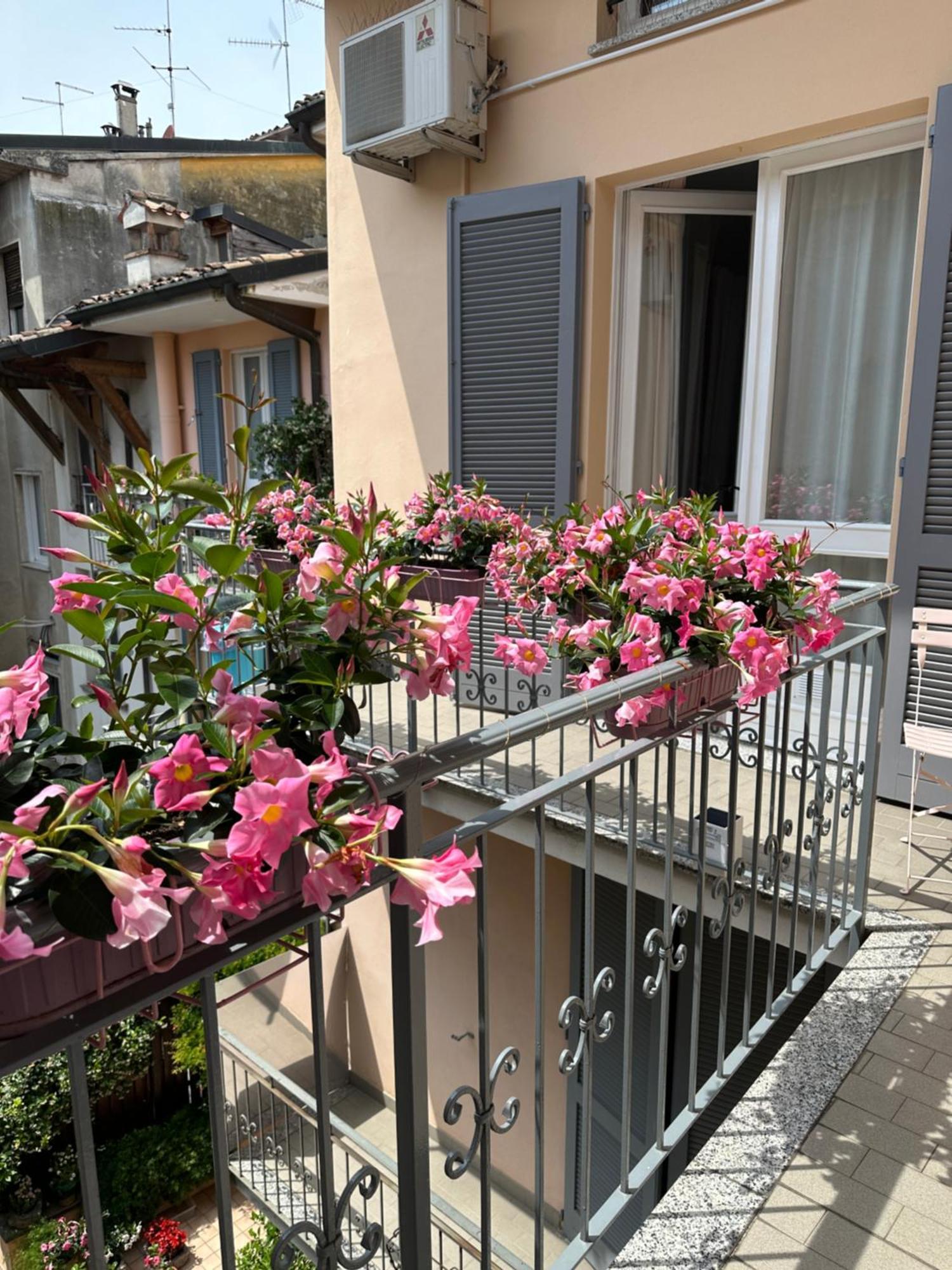 D-Place Apartment Piazza Duomo Crema Bagian luar foto